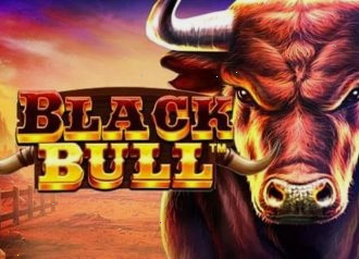 Карточный слот Black Bull онлайн